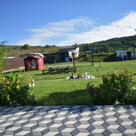 Bbs Residence Kluż-Napoka Zewnętrze zdjęcie