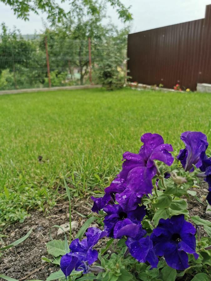 Bbs Residence Kluż-Napoka Zewnętrze zdjęcie