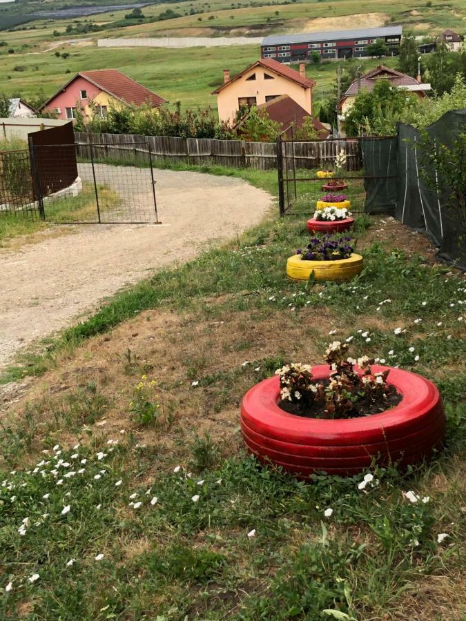 Bbs Residence Kluż-Napoka Zewnętrze zdjęcie
