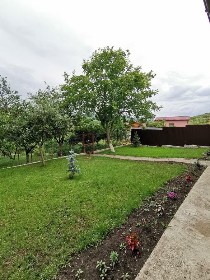 Bbs Residence Kluż-Napoka Zewnętrze zdjęcie